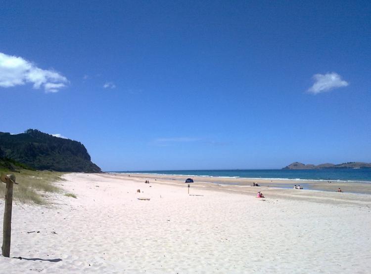 Beach in New Zealand's North Island (Nicholas McLaughlin/The Epoch Times)