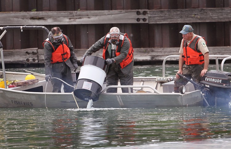 Workers with the Asian Carp Regional Coordinating Committee dump a chemical into the Little Calumet River to kill all of the fish in an approximately two-mile stretch of the river on May 20, 2010, in Chicago, Ill. (Scott Olson/Getty Images)