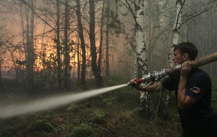 A firefighter works to extinguish a peat fire in a forest near the village Ryazanovka outside Moscow on July 29, 2010. (Artyom Korotayev/AFP/Getty Images)