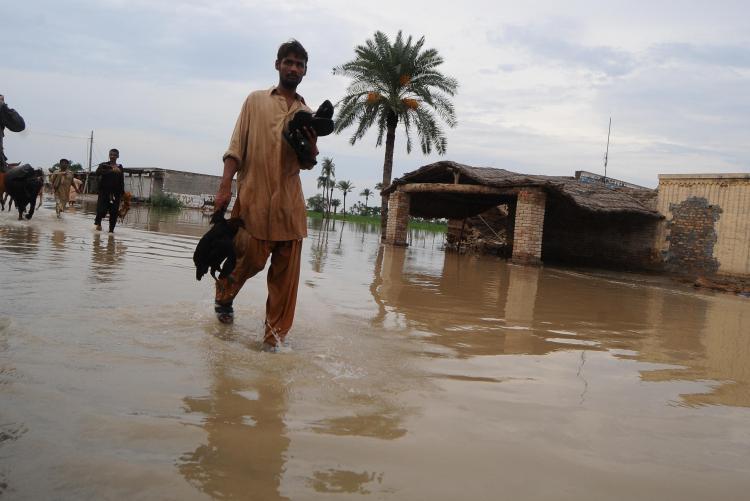 Pakistani flood survivors leave the flooded area in Pagga Shar Khan village on Aug. 6. The worst floods in Pakistan's history have affected 14 million people. (Arif Ali/AFP/Getty Images)