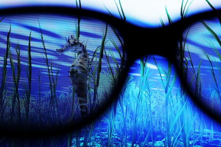 3D TVs: The glasses-free technology is still around 'four years away,' Toshiba's report noted. (Spencer Platt/Getty Images)