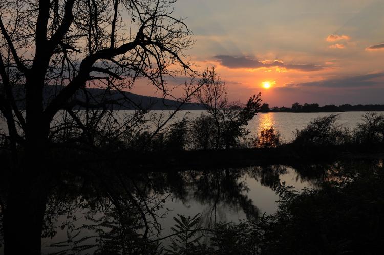 Pictured above, the sun sets over Danube river nearby Bazias (480km west from Bucharest) on October 9, 2010. Romanian witches have tossed mandrake into the river to curse government officials over a new tax imposed on them. (Daniel Mihailescu/AFP/Getty Images )