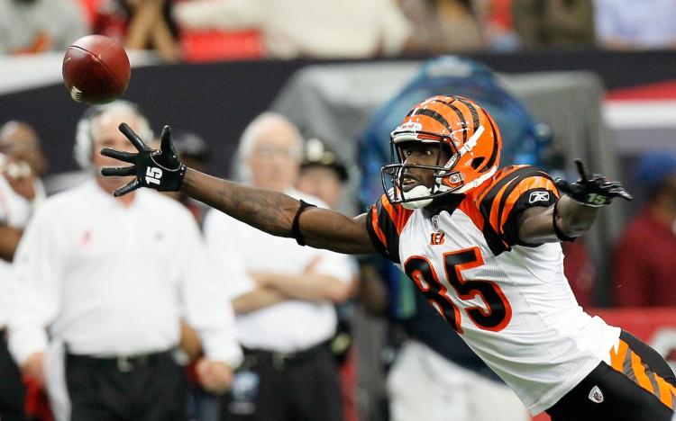 Chad Ochocinco #85 of the Cincinnati Bengals announced on Wednesday that he is changing back to the name he was born with, ESPN and other media report.  (Kevin C. Cox/Getty Images)