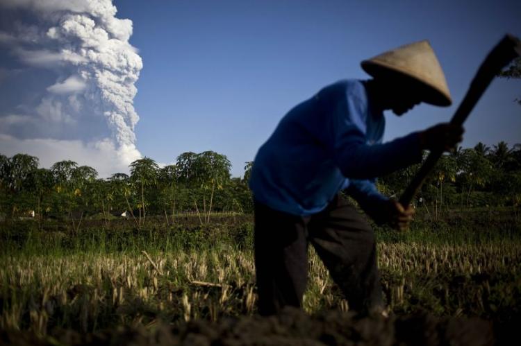 Mount Merapi erupting as farmer works in the rice fields. (By: Ulet Ifansasti/Getty Images)