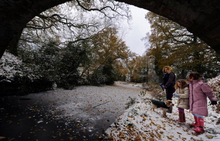 Basingstoke Canal,  west of London on Dec. 20, 2010.  (Adrian Dennis/AFP/Getty Images)