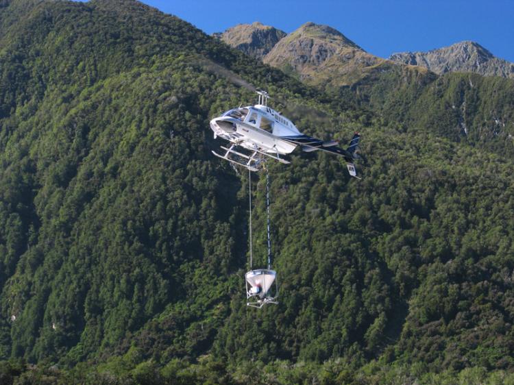 A petition for a ban on 1080 poison was signed by 92.5 percent of the people approached in Westland last month. (Courtesy Department of Conservation )