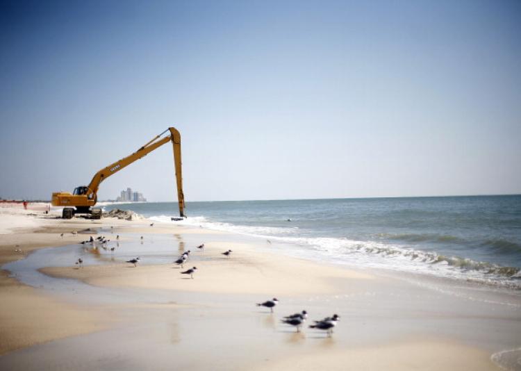 Workers clean oil leftover from the Deepwater Horizon oil spill in the Gulf of Mexico March 10, 2011 at Perdido Key State Park in Pensacola, Florida. (Eric Thayer/Getty Images)