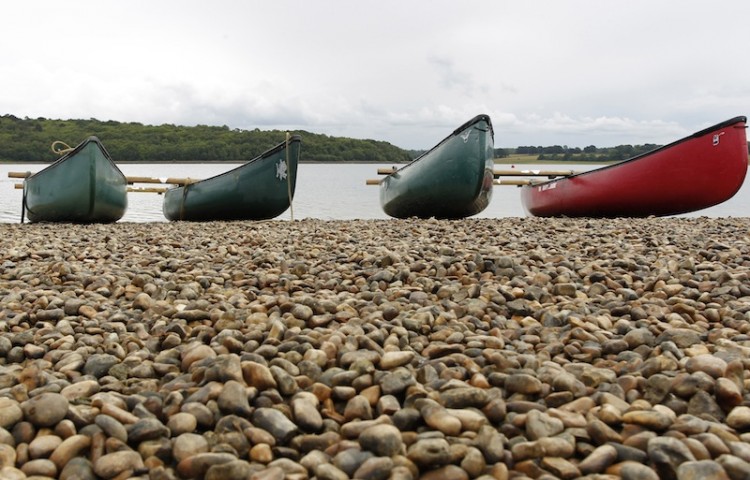 Boats  Bewl Water in Kent,2011