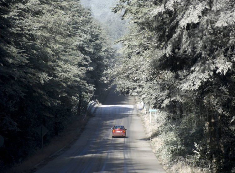 A car drives along the ash-coated international road leading to the Cardenal Samore border pass with Argentina, near the Puyehue volcano, in Chile, on June 20, 2011. (Martin Bernetti/AFP/Getty Images)