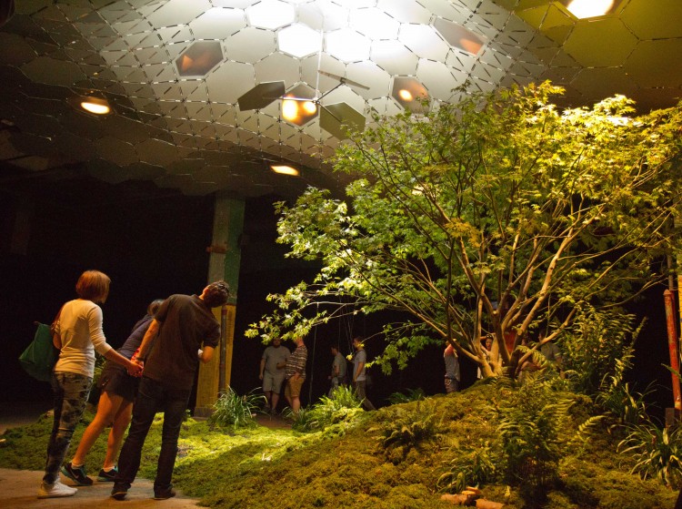 Visitors to the Imagining the Lowline exhibit check out the light that helps a Japanese maple grow underground