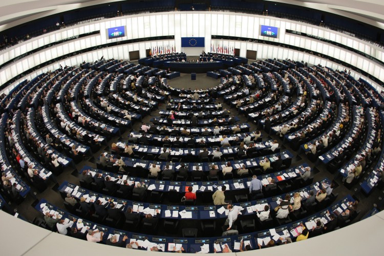 European Parliament in Strasbourg on July 8, 2008,