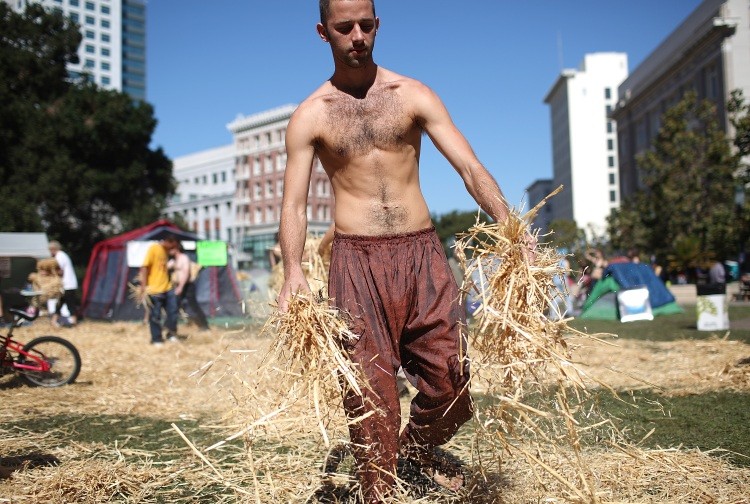 An Occupy Wall Street protester drops piles of hay on wet grass at tent city in front of Oakland city hall on October 13, 2011 in Oakland, California. (Justin Sullivan/Getty Images)