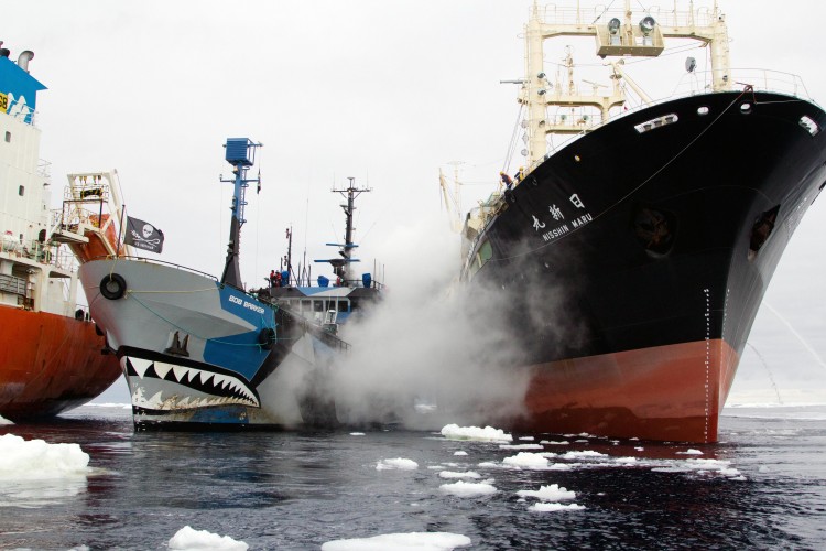 Sea Shepherd Bob Barker