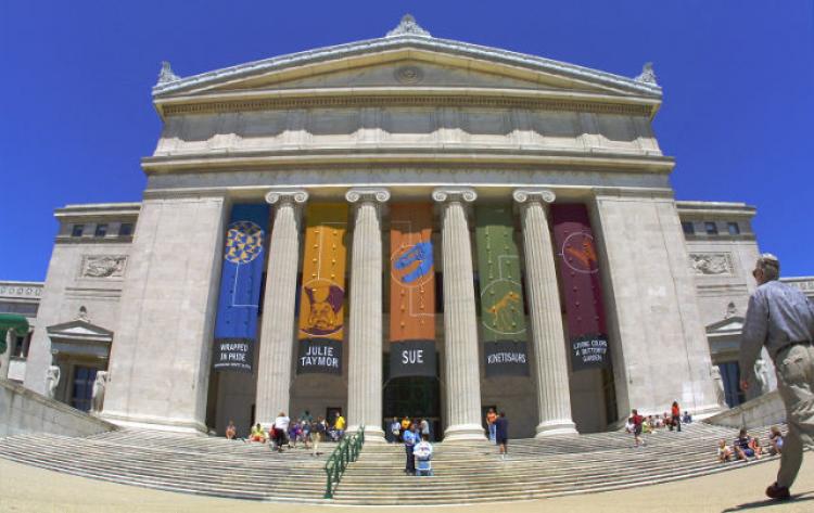 A Maori meeting house at Chicago's Field Museum (photographed July 5, 2001) is the venue for a conflict resolution program targeting at-risk students at Fenger High School. (Tim Boyle/Getty Images)