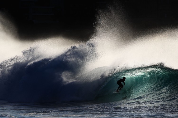 Sydney Surfers