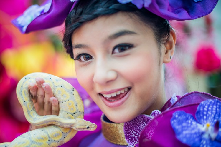 A model poses with a snake during a snake in Kong Kong on January 10, 2013. The Chinese new year, often referred to as the 