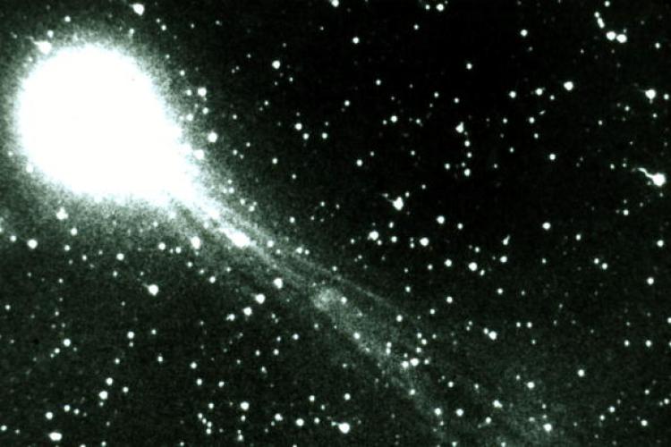 Halley's Comet in 1985. (Liaison)