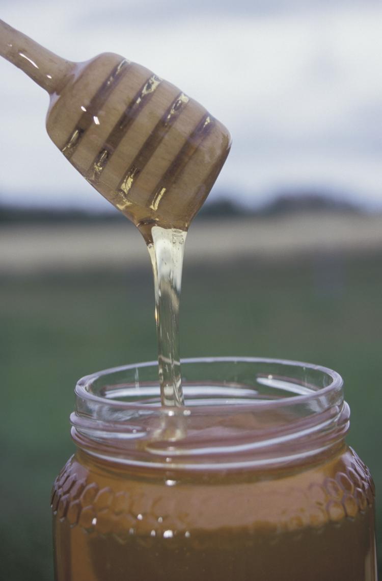 Honey has been shown to heal skin infections. (Photos.com)