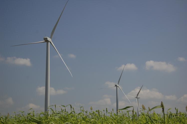 Despite heightened demand for renewable energy, growth of the U.S. wind energy industry has lost some wind behind its sails in 2010. (The Epoch Times)