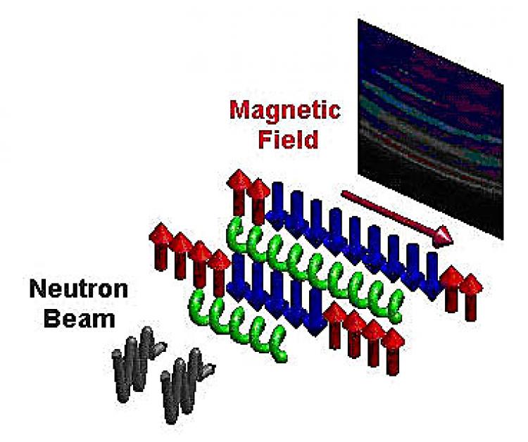 PICTURING THE GOLDEN RATIO: Scientists fired neutrons at cobalt niobate molecules, finding resonant notes with the golden ratio. (Tennant/HZB)