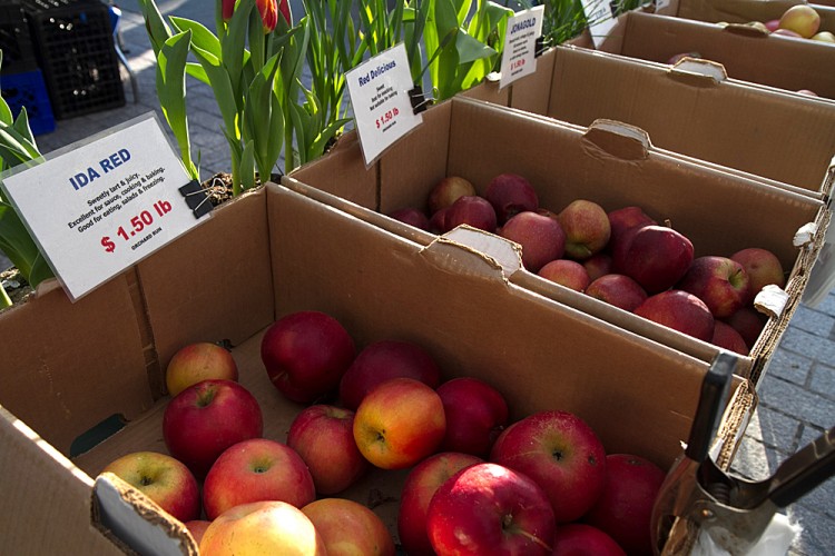 Assorted apples from the Orchard Run farm based in upstate New York