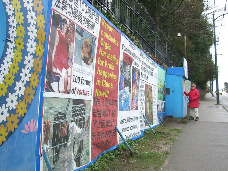 In this file photo, a Falun Gong practitioner stands by the blue hut the group used for shelter during their long-running 24/7 vigil outside the Chinese Consulate in Vancouver. (The Epoch Times)