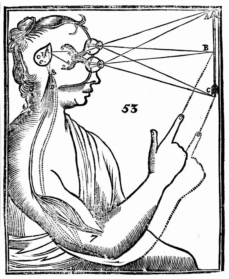  Buried deep within the center of the brain, the pineal gland has a structure similar to our lateral eyes.  (Photos.com)