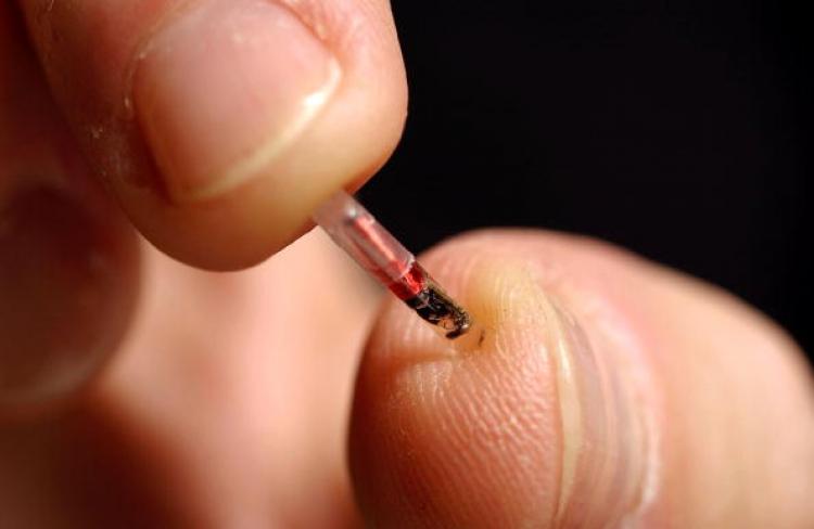 The VeriChip, an early form of surgically-inserted microchip made in 2002, can provide medical and identity information. (David Friedman/Getty Images)