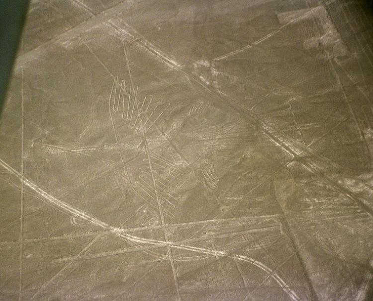 The Nazca Lines are geoglyphs (drawings on the ground) located in the Nazca Desert, a high arid plateau that stretches 53 miles between the towns of Nazca and Palpa on the Pampas de Jumana (a large flat area of southern Peru). In this picture, is the figure known as the condor. (Courtesy of Wikimedia Commons)