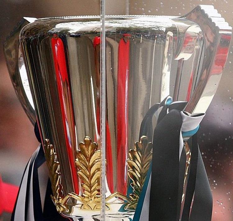 The AFL Premiership Cup.   (Mark Dadswell/Getty Images)