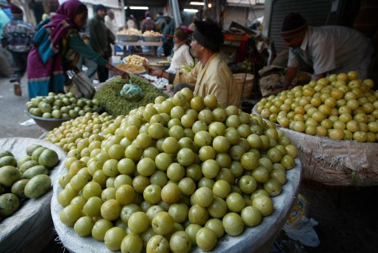 Amala fruit are mostly in demand during the winter season. Extracts from the fruit have a high vitamin C content. Amala is one of the most often used herbs in Ayurveda. (Sam Panthaky/AFP/Getty Images)