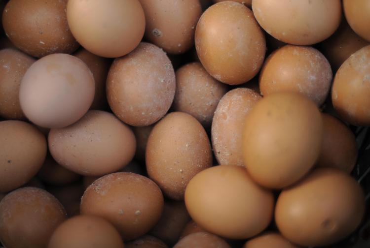 Eggs are seen on sale in a supermarket. Wright County Egg announced that they will recall some of their shell eggs due to salmonella concerns. (Peter Parks/AFP/Getty Images)
