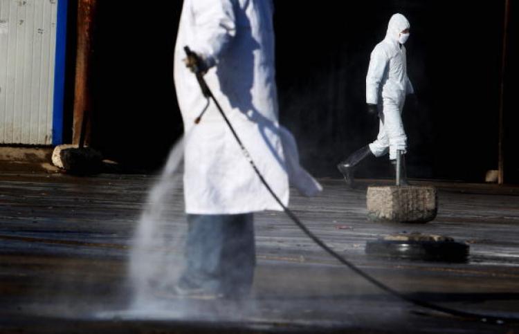 Chinese medicial workers clean and disinfect the isolated plot of a poultry market after its closure on January 9, 2009 in Yanjiao, north China's Hebei province, China.  (Guang Niu/Getty Images)