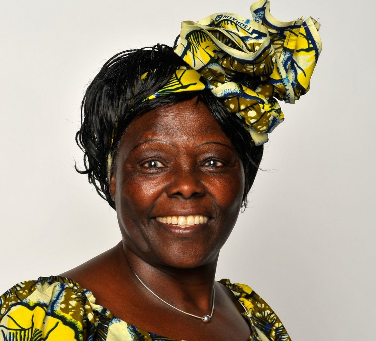 The late Political activist Dr.Wangari Muta Maathai poses for a portrait during the 40th NAACP Image Awards held at the Shrine Auditorium on February 12, 2009 in Los Angeles, California.  (Charley Gallay/Getty Images for NAACP)