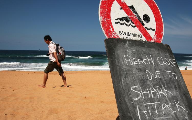 A surfer died in a shark attack off the coast of West Australia, the first fatal attack in six years. The beach is closed while police and fisheries try to locate the shark and assess any risk of further attacks. (Ian Waldie/Getty Images)