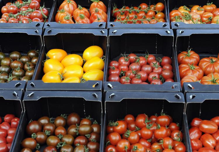The wonderful variety of tomatoes. (David Hecker/AFP/Getty Images)
