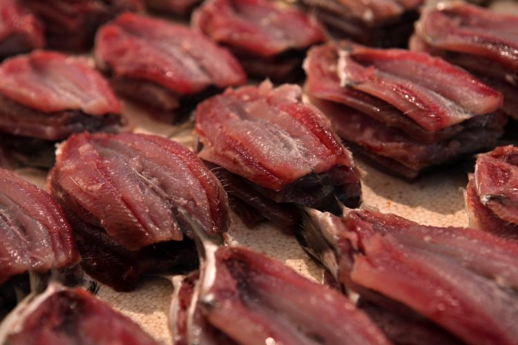 Fresh sardine fillets are displayed at the Mercado SÃ�Â£o Pedro, the St. Peter's fresh fish market, on August 5, 2009 in Niteroi in Brazil.  (David Silverman/Getty Images)