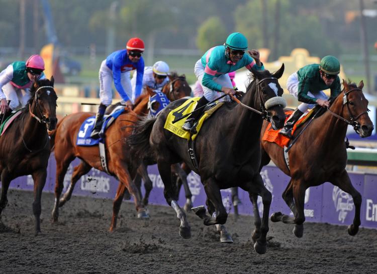 Jockey Mike Smith (2nd R) celebrates winning the Breeders' Cup Classic race on Zenyatta at the Santa Anita racetrack in Arcadia, California on Nov. 7, 2009. (Mark Ralston/AFP/Getty Images) Jockey Mike Smith (2nd R) celebrates winning the Breeders' Cup Classic race on Zenyatta at the Santa Anita racetrack in Arcadia, California on Nov. 7, 2009. (Mark Ralston/AFP/Getty Images)