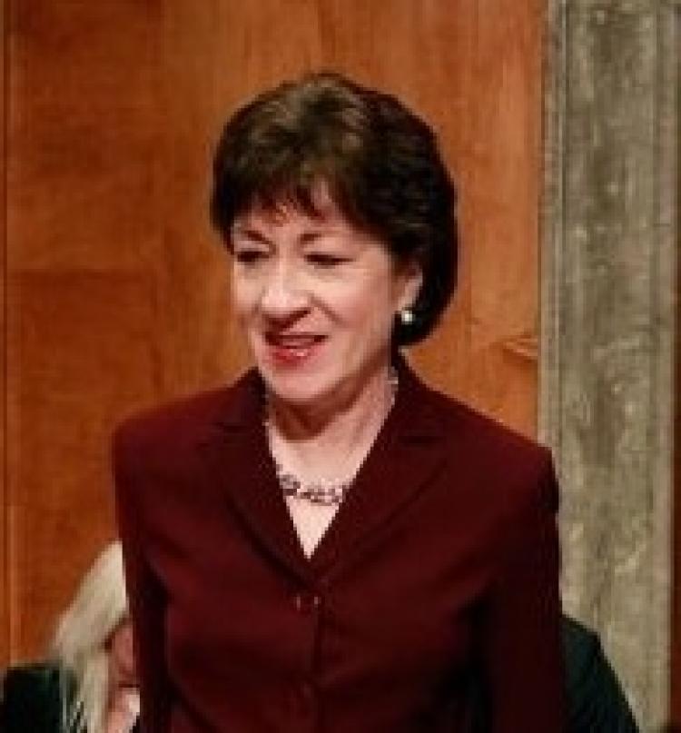 Senator Susan Collins (Mark Wilson/Getty Images News)