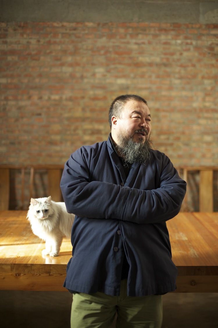 Ai Weiwei with one of his many cats. (Photo Courtesy of Never Sorry LLC, a Sundance Selects release)