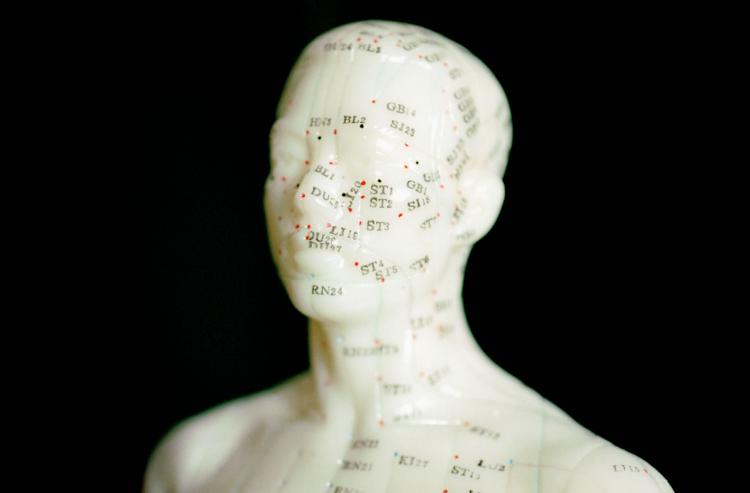A model used for the study of acupuncture points. (Photos.com)