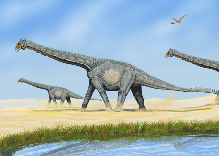 An illustration of Alamosaurus. Study finds that sauropods may have produced more methane than modern sources and contributed to global warming. (DiBgd/Wikimedia Commons)