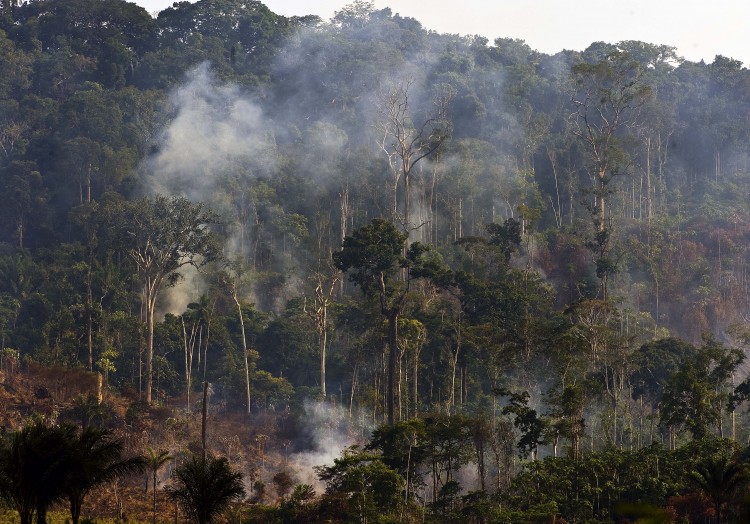 Trees of the Amazon rain forest burn in northern Brazil to clear land for cattle raising. New research on the savannas of French Guiana has discovered indigenous people farmed the area for hundreds of years without using fire. (Antonio Scorza/AFP/Getty Images)