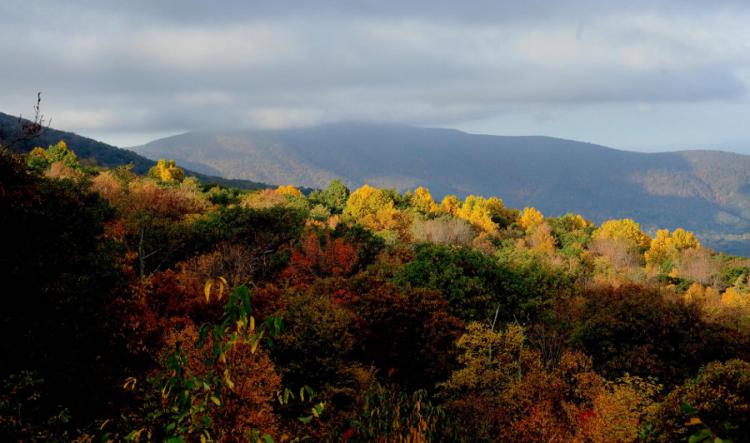 A ridge in the Blue Ridge Mountains is ablaze in Fall colors October 18, 2008 on Skyline Drive in Shenandoah Park, Virginia. The red and gold leaves draw hundreds of people to the scenic drive in the fall. (Karen Bleier/AFP/Getty Images)