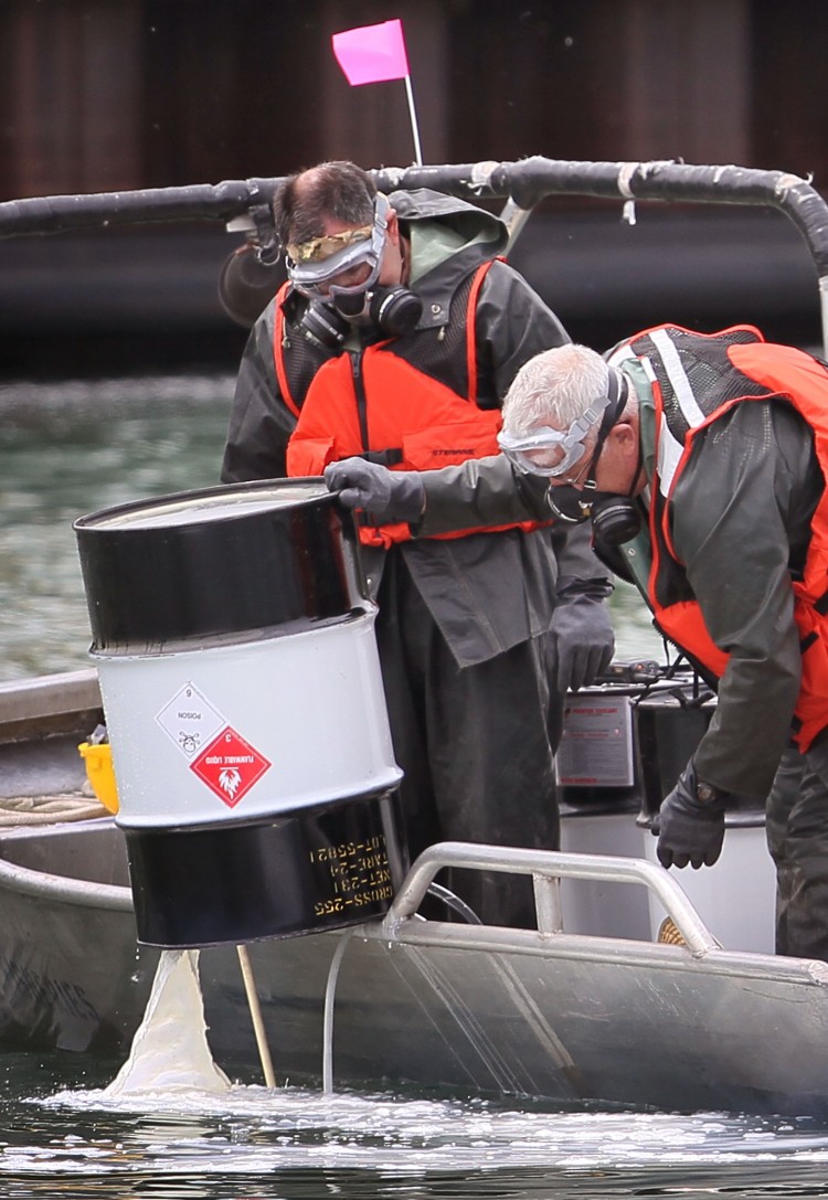 Workers with the Asian Carp Regional Coordinating Committee, dump a chemical into the Little Calumet River to kill all of the fish in an approximately two-mile stretch of the river May, 2010, in Chicago. (Scott Olson/Getty Images)