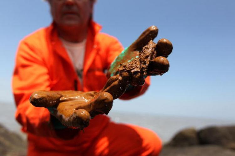 BP Oil Spill: Greenpeace marine biologist Paul Horsman shows oil collected from a jetti at the mouth of the Mississippi River on May 17 in near Venice, Louisiana. (John Moore/Getty Images)