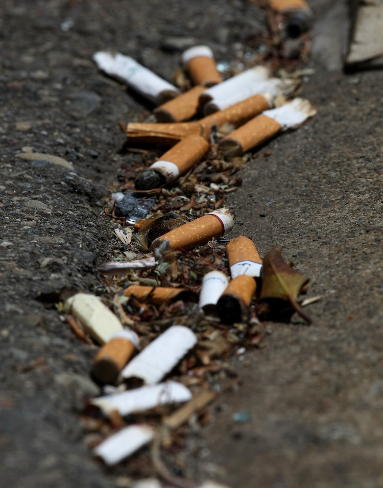 Cigarette butts in the streets of San Francisco in 2009. San Francisco will ban smoking at its outdoor festivals and fairs, the first big city in the United States to do so. (Justin Sullivan/Getty Images) 