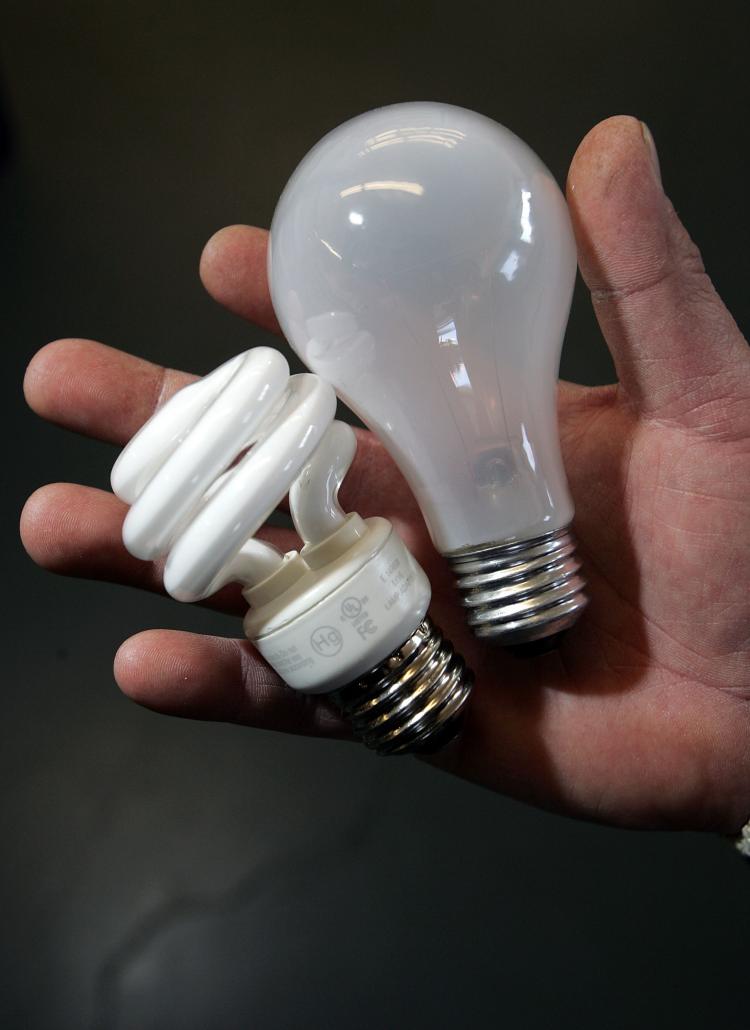 A traditional incandescent light bulb (R) and an energy efficient compact fluorescent bulb (L) are displayed side by side. In 2010, energy intensive incandescent bulbs will be illegal. (Justin Sullivan/Getty Images)