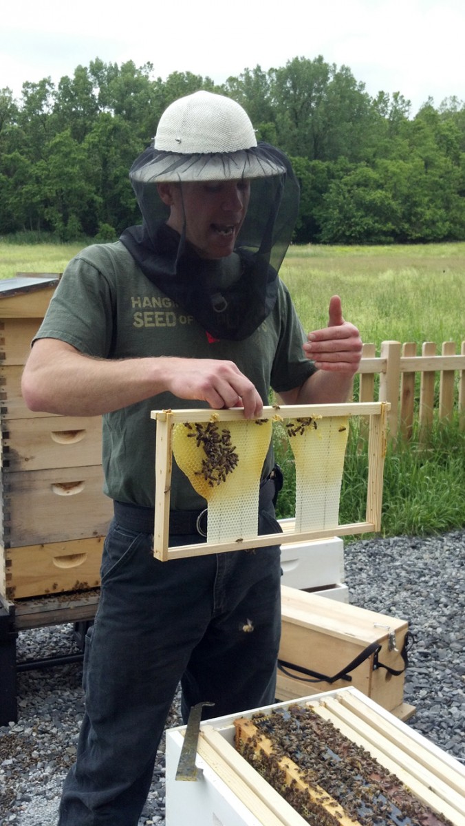 Colin Coyne explains honeybees