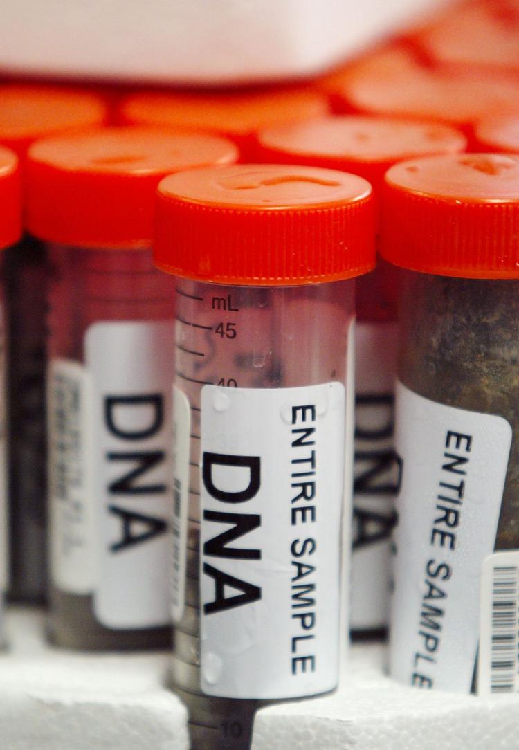 A Senate committee says certain areas of the National DNA Data Bank should be expanded. (Scott Gries/Getty Images)